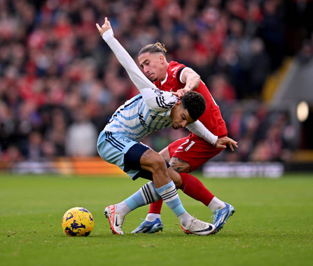 对于老佛爷 对于老佛爷